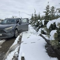 راف فور XSE • هايبرد • ٣٤ الف