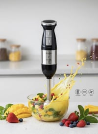 خلاط Naifeo • 500 واط • الحصوة