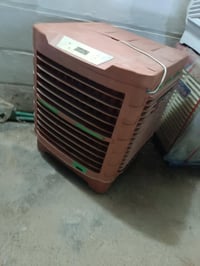 تازة • زور زور • دوونيو