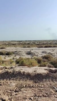 الحكيم الحولي • مقابل السجن • دونم