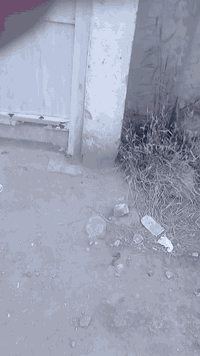 حي الحسين • ١٠٠م • طابو