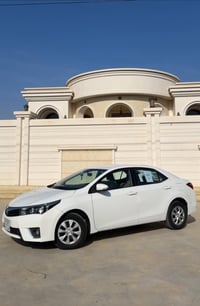 رقم اربيل • حساسات • كفاله بدون صبغ