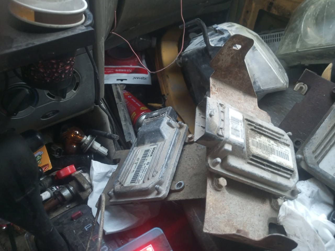 عقل شيري كوين للبيع مكاني بالاعظمية بالسفينة ***********==***********==الثاني وتساب
