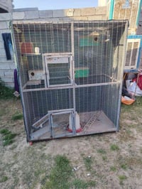 قفاص لبيع سعر 100وبي مجال حك الجيه 07827510647