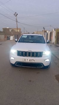 لاريدو • ٢٠٢٠ • كشنات جلد