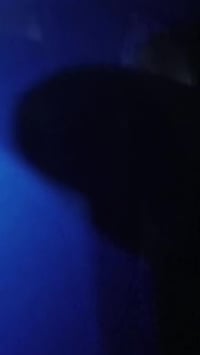 بوليس مسطره • ٢٠١١ • نضيفه