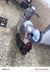 بوليسي • جديده • مكفولة