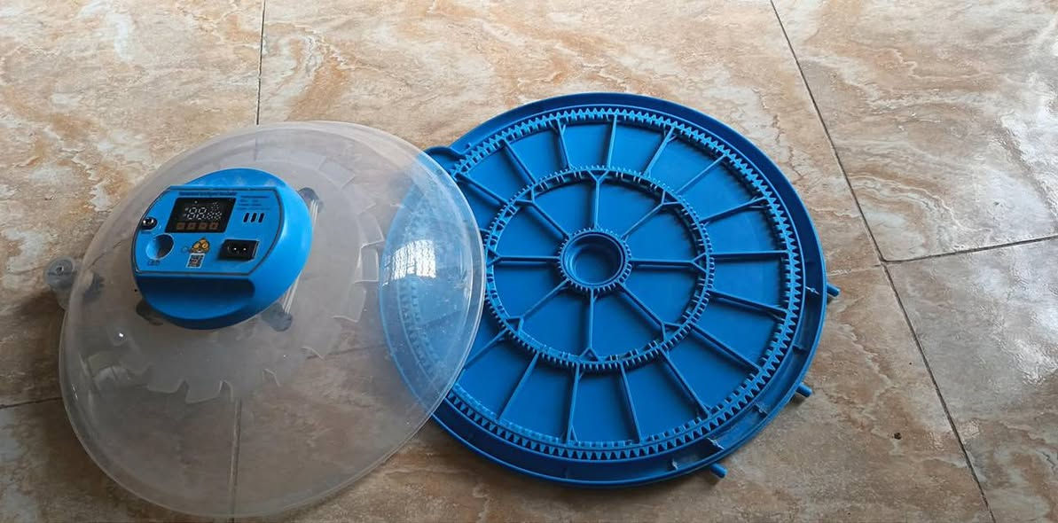 السلام عليكم فقاسه للبيع اوتماتيك جاهزه تاخذ 25 بيضه الشراي يجي خاص ويدلل


**إذا كنت صاحب هذا الإعلان وتريد حذفه لأي سبب، رجاءا أرسل رسالة إلى الدعم الفني**