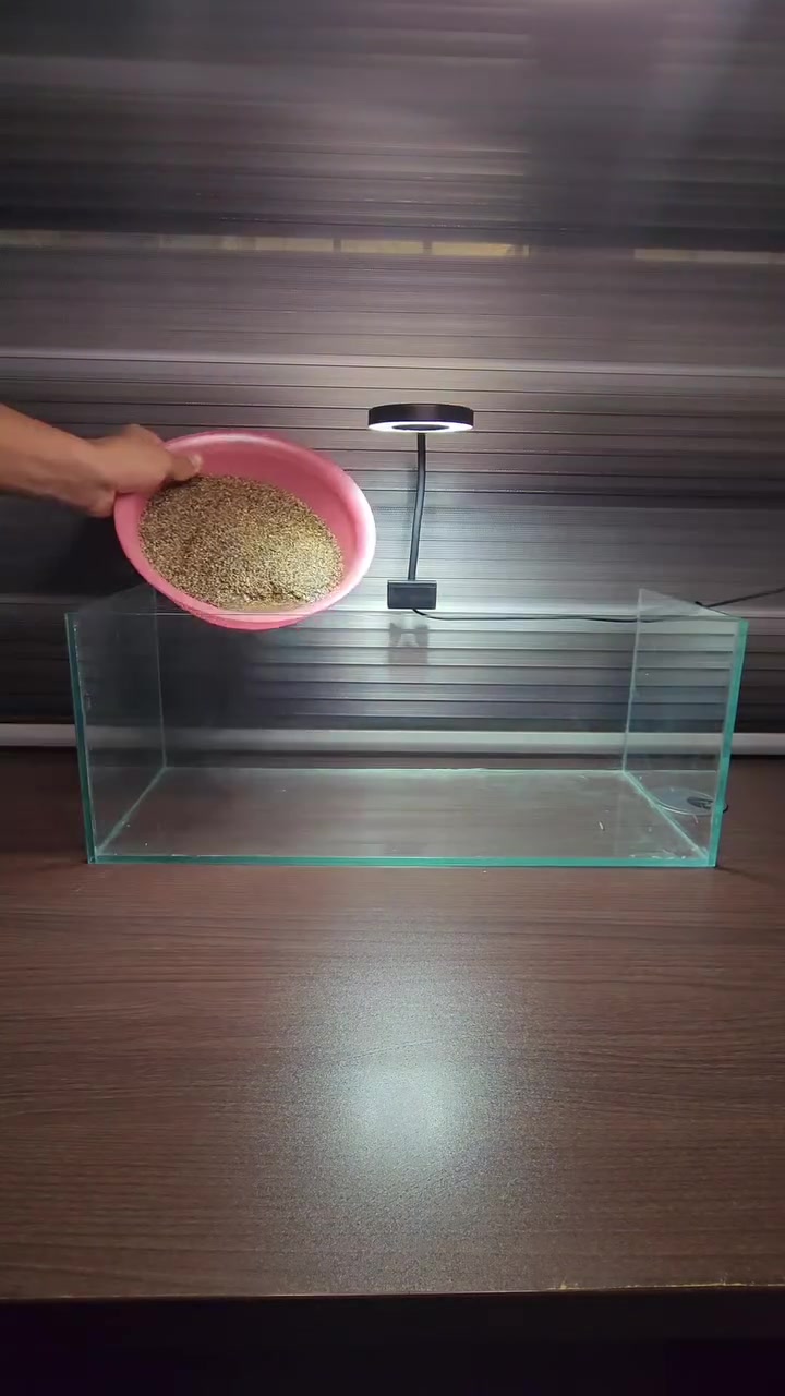 حوض  قياس 50×20×20 🌿🤍
تصميم طبيعي 
يحتوي على :
فلتر شلال 
انارة LED
حجر بركاني
جذع خشب متحجر 
ثلاث انواع نباتات سهل العنايه 
رمل لون صحراوي  
بسعر ٦٠  الف دينار ✅️
يتوفر تصميم حسب الطلب 
يوجد توصيل لجميع  المحافظات🚛


**إذا كنت صاحب هذا الإعلان وتريد حذفه لأي سبب، رجاءا أرسل رسالة إلى الدعم الفني**