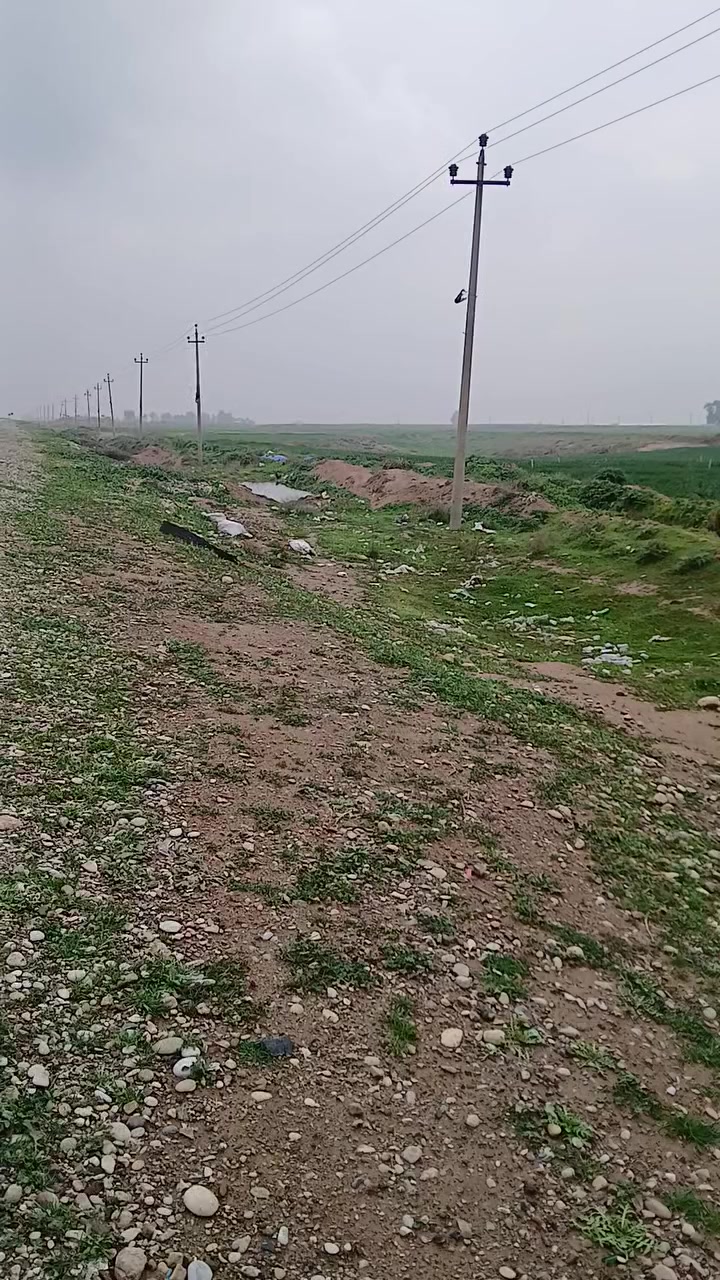 ٢٥ ان لاين بدون صبغ ماشيه ٤ الف يعني زيرو فول كشنات جلد انفنتي ***********
