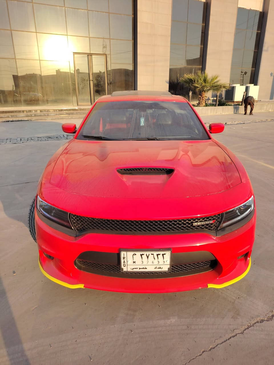 " للبيع 
دوج جارجر ارتي المحرك 8 سلندر RT MAX الموديل  2022🔥
وكالت هارلم 
صار بيه حادث بل عراق باب وجاملغ صفحت يمنه

⭕️ السيارة  وموجود صورة
 
المواصفات :   فوللل 
المكينة 5700 V8 
* تشغيل عن بعد .  
نقاط عمياء
رادرات جانبية
فتحه سقف 
* شاشة كبيرة قياس 8.4 أنج اوپشنات كاملة

مري تعتيم
كشنات وستيرن تدفئة تبريد
كشنات كهرباء حضن 

كزوز دبات بلاد 

 السيارة الف دينار متصرف عليها كامله مكملة  من كلشي  جديد  شرط  صدر جديد دسكات كلها جدد وكلها وكالة اصلي 

 السيارة باسمي تحويل ثاني يوم  هزة جديد ورقم بغداد 
 واني حاضر 

السعر خاص $$   ❤️❤️
 والله يرزق الجميع 
للاستفسار  *********** 
مكاني بغداد بسمايه
