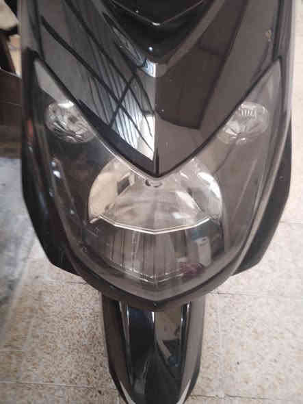 سلام عليكم سكنس فحل ورد ياباني ام طلاعات خطين نوزل البيع رقم الجوال *********** مكان بغداد
