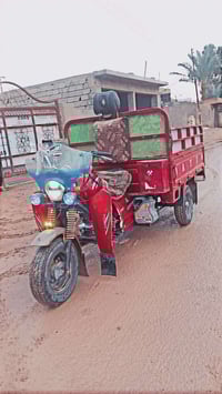 ستوته • موديل ١٧ • أوراق كاملة