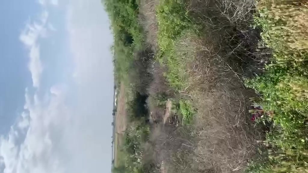 قطع زراعيه. سند 25 طابو حق التصرف  منضمات للجمعيه التعاونيه /خدمات  ماء. كهرباء.    شوارع.سبيس محدوله.    الحولي.  قرب ل الف دار.
عدد القطع 5 مساحه القطعه  200( 10×20)
السعر 13 وبي مجال
للاستفسار اكثر خاص ...


**إذا كنت صاحب هذا الإعلان وتريد حذفه لأي سبب، رجاءا أرسل رسالة إلى الدعم الفني**