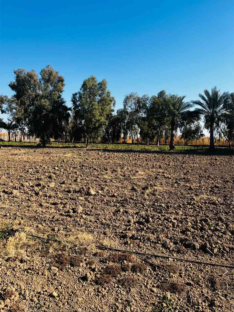 🟠 3 دونم طابو زراعي للبيع🟠  

📍موقع العقار : الرمادي زنكوره قريب من مفرق زنكوره وبالقرب مجمع الكرغوليه 

🟠 موقع مميز 

🟠الأرض طابو زراعي سند ٢٥

🟠 الدونم وجه على شارع 10 متر 

🟠ارض كلش حلوه
 
🟠الارض مسيجه بالكامل بي ارسي ونظام تقطير كامل + بئر ماء للارض ومزروعه بعض الاشجار المثمره

🟠 تتوفر فيها كافة الخدمات ماء كهرباء وماء سقي

🟠الارض ترهم مزرعه أو سكن

🟠 مساحة الارض (3 دونم ) 

🟠تحويل مباشر ( ثاني يوم يفتحلك بيان)

🟠 للمعرفة السعر فقط ارسال المعلومات على الواتساب او على الخاص او الاتصال على هواتف المكتب 

🔶 اذا عندك عقار تريد تعرضه للبيع او تريد تشتري عقار🔶
__________________________________
* متابعة الصفحه يصلك كل ما هو جديد *

 ✅للأستفسار الاتصال على الارقام التالية :

 
📞*********** 

موقعنا على الخريطة 

‏https://maps.app.goo.gl/uaqG7ir7EbX2DQkBA

أو زيارة مكتبنا الكائن الرمادي_ ناحية اليرموك (زنكوره سابقا) 

المفرق  /مقابل جامع هادي البشير (البمرعي)

#مكتب_عقارات_زنكورة 🕹️
