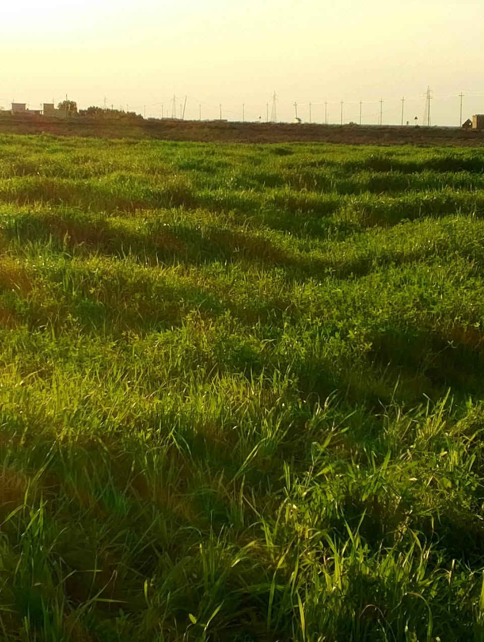 للبيع قطعه الارض زراعيه
عقد ١١٧ زراعي المساحه٤ونص على طريق كوت العماره قريه بيت ارخيص منطقه الحنضليه موقع الأرض على شارع العام سعر الدونم ١٧ مليون
رقم الهاتف ***********
