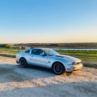 موستانغ • ٢٠١٠ • قير عادي