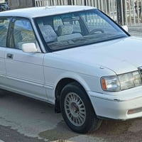 أرنب • مكفولة • بغداد