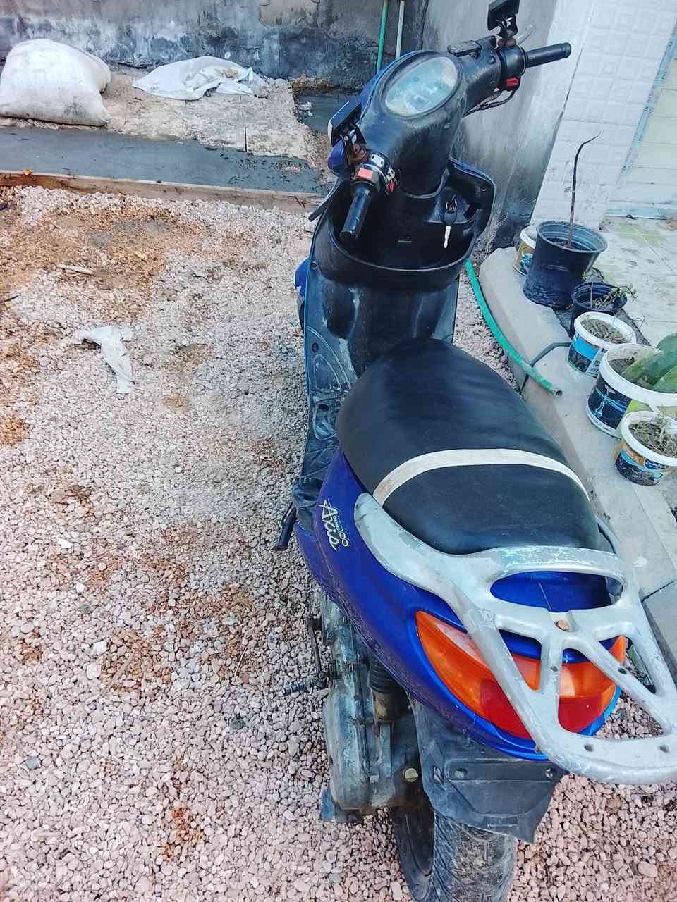 سلام عليكم دولفين للبيع عوزهة تلحيضات السعر عله هاذه الرقم ***********بس واتساب او رخيصة
