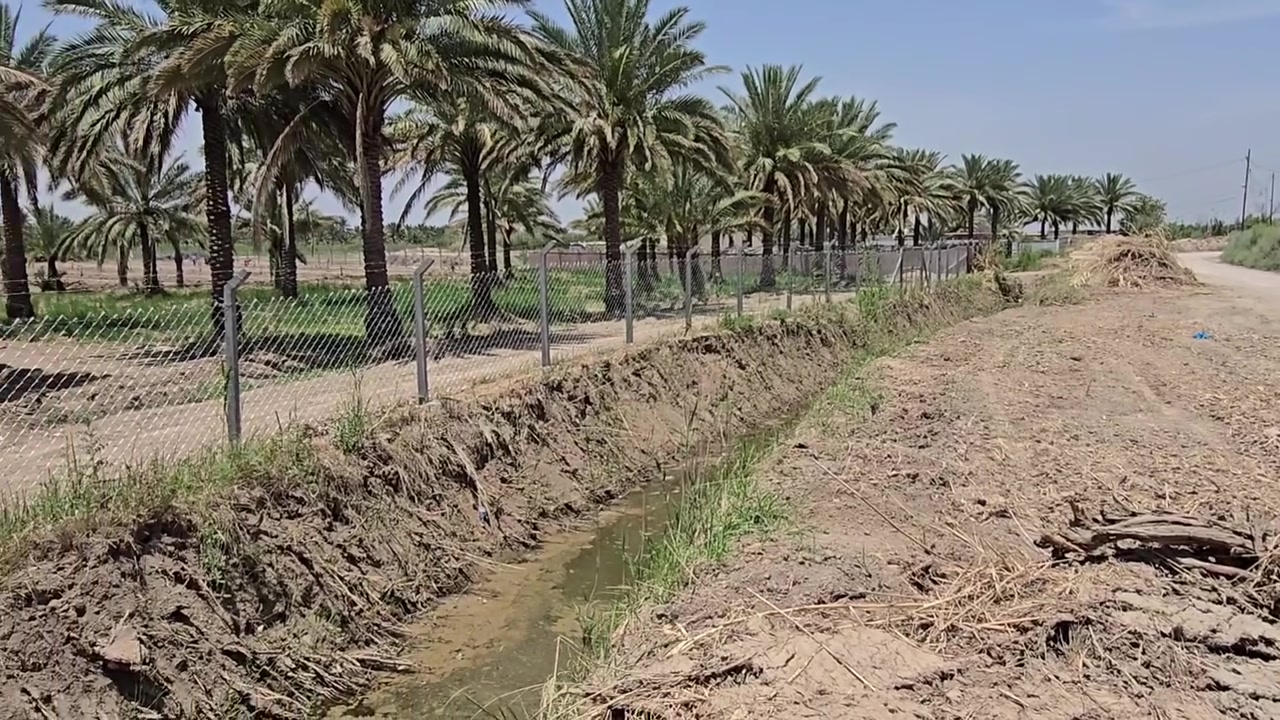 بستان للبيع 
المسيب منطقة الجيلاوية  
داخل الشارع المقابيل مرقد اولاد مسلم 
مساحة ٤ دونم 
تتوفر كافه الخدمات ( كهرباء و ماء اساله ) 
نهر سقي بوجه البستان مع مبازل فرعيه تحيط بالارض من جهتين 
البستان مخدومه ومزروعه   موقع مميز على شارع تبليط 
سعر الدونم ٥٥ 
سند بأسمي تحويل مباشر الى المشتري
*********** 
#عقارات_المسيب
