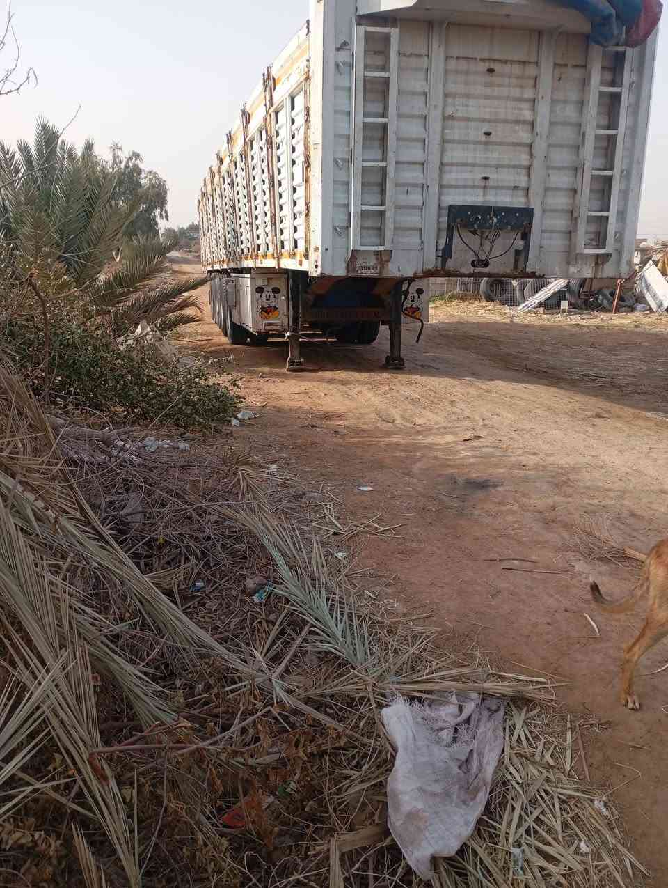 سلام عليكم عريانه للبيع مكان بابل القاسم***********
***********
