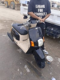 بوليسي كابريته • نضيفه • معدل