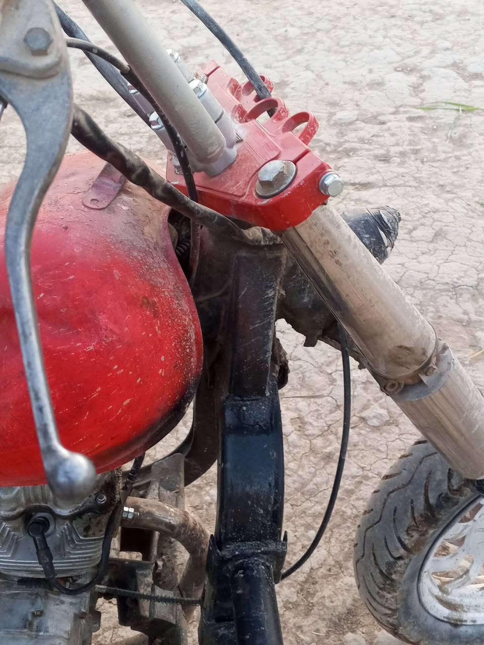 ستوتة موديل 2008
رقم وسنوية...دبلات جدد...
المكان قضاء القاسم

***********
