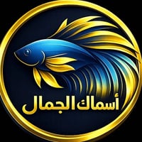 🐠✨ استشارة مجانية لأسماك الزينة ✨🐠 عندك مشكلة بحوضك؟ سمكك مريض أو متغي...