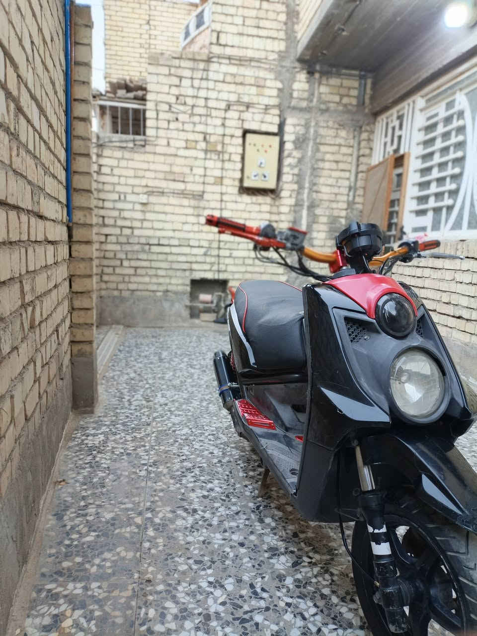 للبيع مراوس بسكنس فحل او لد نضيفات ***********
