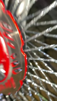 تايگر • ٢٠٢٥ • اربعه كير