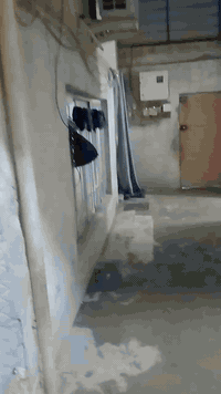 بيت قطاع 49 قريب عل خدمي بدربونه بي 5غرف نوم وصاله ومطبخ واستقبال وحوش...