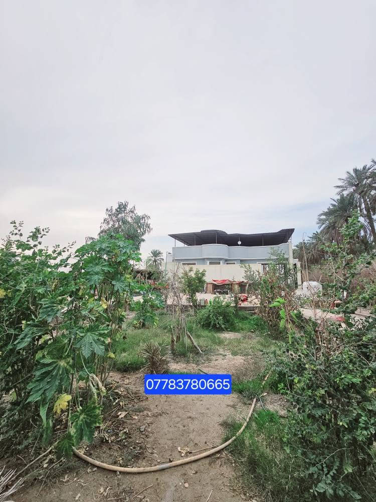🏡 دونمين للبيع – فرصة مميزة للاستثمار والسكن
📍 الموقع: البصرة / أبي الخصيب – طريق الصحراء
قريب على الشارع العام (السايدين)
📐 المساحة: دونمين كاملين
📜 النوع: طابو ملك صرف – تحويل مباشر باسم المشتري
🏠 تفاصيل العقار:
• يحتوي على دار بمساحة 300 متر
• بناء طابوك 
• الأرض مخدومة بالكامل
🌊 مميزات إضافية:
• محاطة بنهر من جميع الجهات (موقع مميز وهادئ)
• مناسبة للسكن أو مشروع استثماري (شاليه / استراحة  للاستفسار الاتصال على الرقم 
*********** البصرة, العراق

