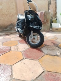 فراشه • مستعجل • ديوانيه