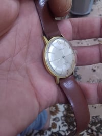 سيناتور فنتج • ذهب مطلي • ٣٥مم