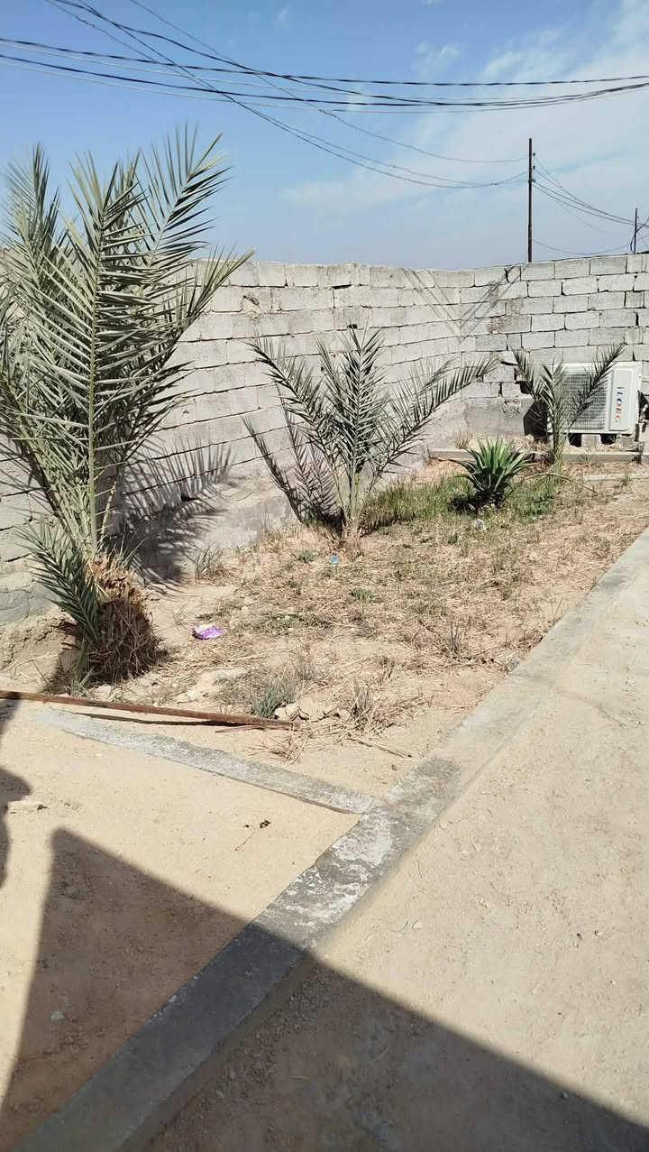 دونمين ونص ثلاث بيوت للبيع طابو زراعي سند 25 طريق الدغاره قرب نبي شعيب السعر على الاتصال ***********  / ***********
