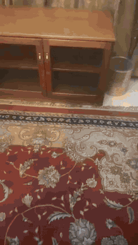 بيع تخم مصري زان ١٠ مقاعد +طاولة طعام ٨ مقاعد + سيت طبلات + عارضات٢ ال...