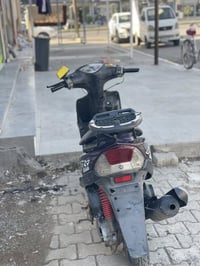 ماكس عدله • بوشه ٥٥ • معدل فول