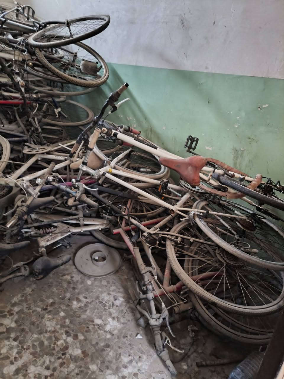 السلام عليكم  ... 
للبيع بايسكلات حاويه جملة ( فافون + حديد + ماركات) 
( c700 -  كيمو )
للأستفسار عل رقم  ***********
العنوان بغداد الدورة
