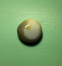 احجار • للبيع • اسعار