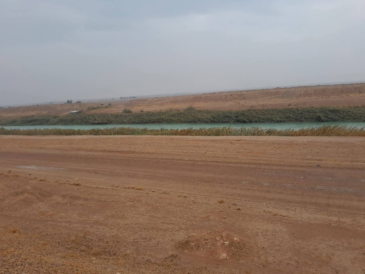 ارض زراعه للبيع ما بين النهرين ٥٨ دونم
عقد ٣٥ تنباع كلها او نصفها كاع عدله وتربته حلوه تسكي سيح كلها حاليا مزروعه حنطه وشعير وجت تصلح حقول دواجن  او مشروع حلال جاهزه ماء وكهرباء الوجه على اذراع دجله وبيه بير صطحي وموطور بس تشغل سعر  الدونم مليون و٨٠٠

للاستفسار  ***********.    *********** قرب تقسيم الناظم تبعد عن ناحيه الصقلاويه ١٠ دقيقه
