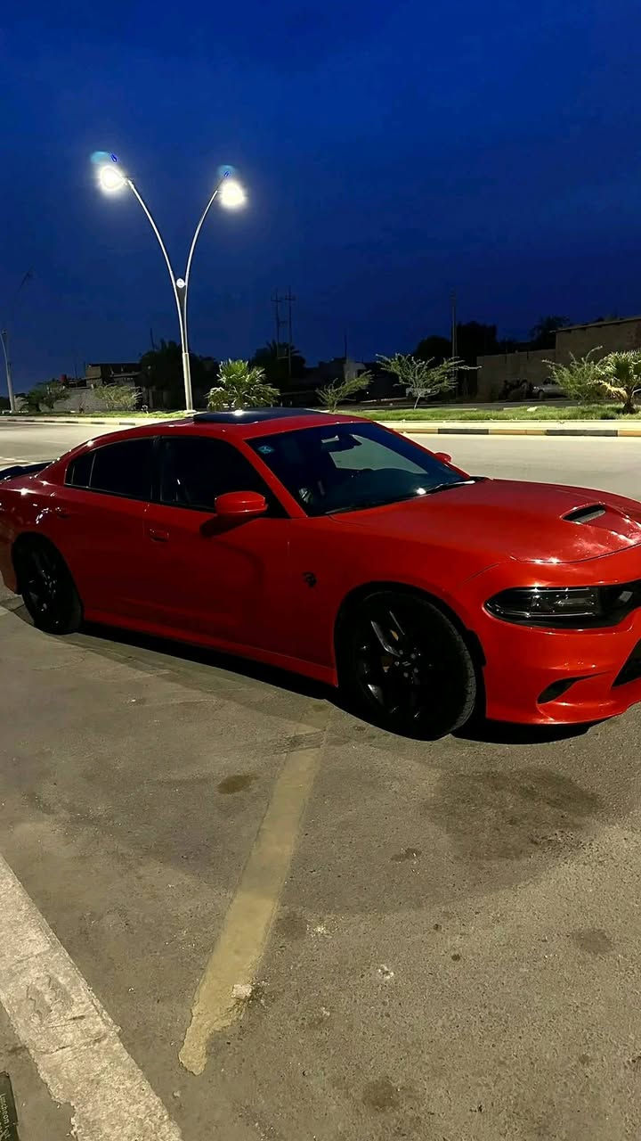 دووج ••• جارجر    ⏬
موديل •ــ•2020  🟠🟠
••••••••••••••••لون برتقالي مميز🍊
فتحت سقف
نقطه عمياء
شاشه كبيره
كامره  دواره
كشنات حضن جلد تبريد تدفئه
كشنات خزن
حداديه جديه 
ويل 20انج وتخم تاير
تشغيل عن بعد 
لايتات زنون
محدثه SRT
جديدة جدا 
رقم بغداد انكليزي باسمي تحويل مباشر 

وارد امريكي 
قطعة وحده صبغ جاملخ لاأمامي فقط
بدون ارباك سليم
للاستفسار اكثر ☑️☑️💢💢

 بييع او مراوس أرتي لون مميز☑️☑️

العنوان ::: الصويره

 السعر 250وبيهه مجال

الاتصال ***********
