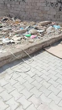 الديوانم • ٩٨م • خدمات كاملة