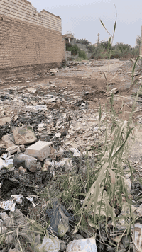 قطعه أرض زراعي للبيع في حي الجوادين الأول شارع شيخ زيد قريب على سيطره سوق الشيوخ الاستفسار التصال على الرقم ***********
