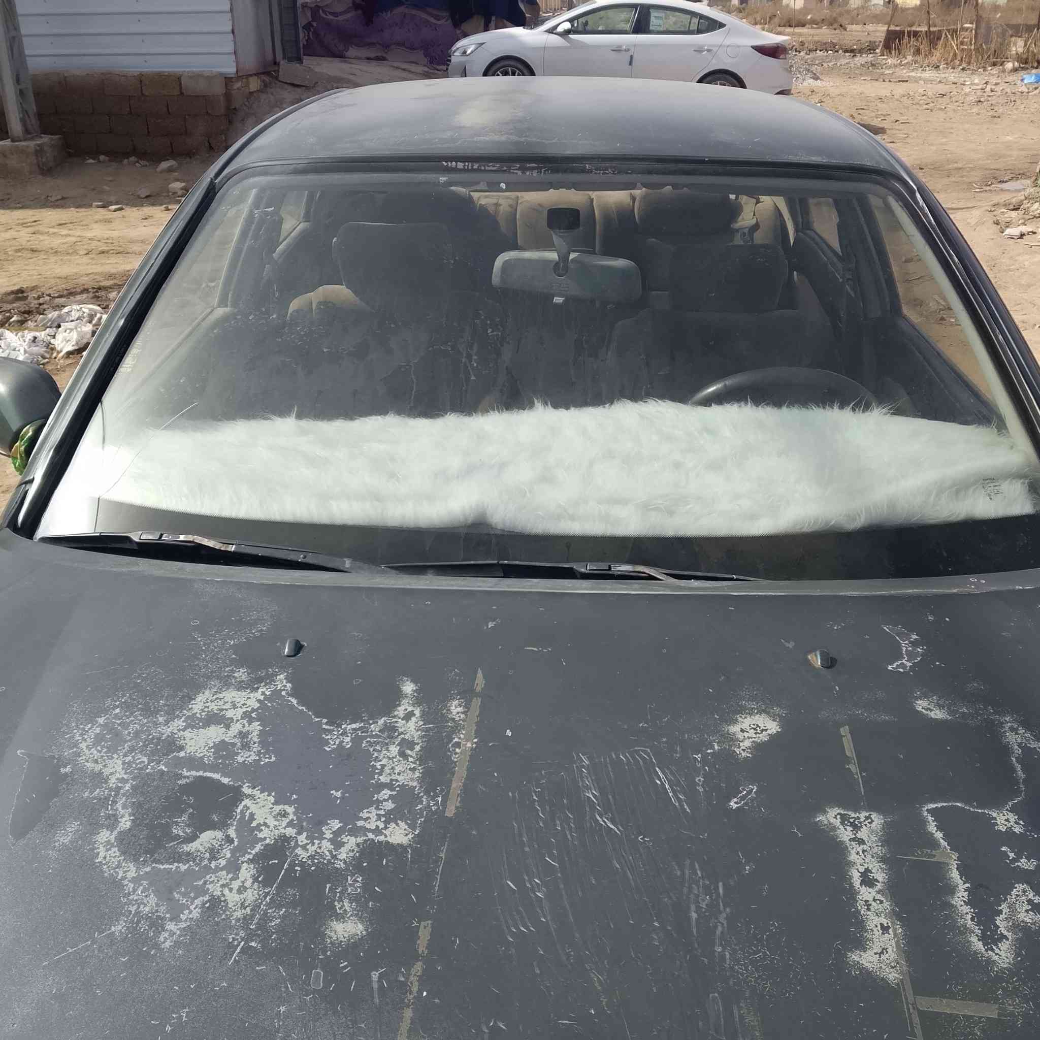 بطة للبيع موديل 92 رقم انبار راعيها بل سماوة السنوية عضم عاج صاقطة من الفين 2023  مكينة وكير جديد دخم تاير  حدادية  جديدة  سعرة 39 وبية مجال  مكاني  واسط كوت  الرقم هاتف ***********
