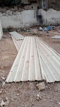 چينكو • ١٢قطعة • ٧م