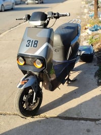 318 اباجي • ابيض • مزارع زيونه