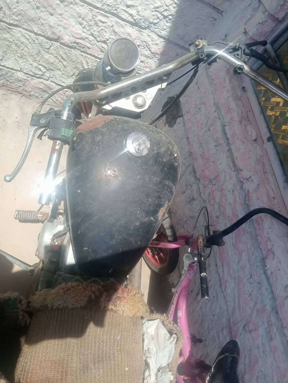 تفصيخ ولي يرده كامل بس بدون عقل


**إذا كنت صاحب هذا الإعلان وتريد حذفه لأي سبب، رجاءا أرسل رسالة إلى الدعم الفني**