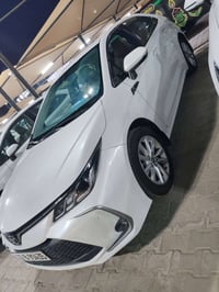 كورلا • ٢٠٢٤ • كربلاء