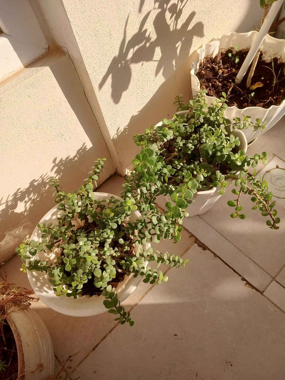 سموود


**إذا كنت صاحب هذا الإعلان وتريد حذفه لأي سبب، رجاءا أرسل رسالة إلى الدعم الفني**