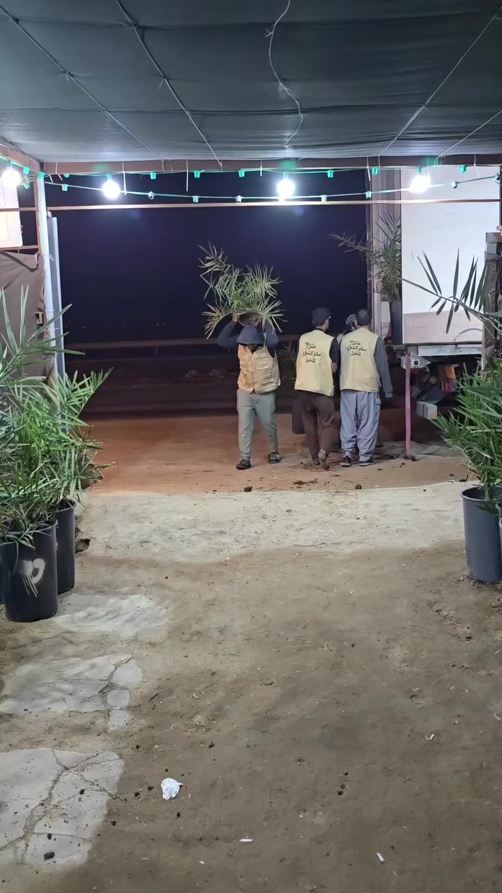 السلام عليكم متابعينا الكرام 🌴

📅 اليوم بتاريخ 2026/3/13
على بركة الله تم وصول وجبة جديدة من فسائل البرحي النسيجي إلى مشتل سلام الشمري، من مختبر دي بي دي البريطاني، بعمر يقارب ثلاث سنوات وبأرتفاع تقريبي متر ونصف، وهي من الفسائل الممتازة الجاهزة للزراعة بإذن الله.
📢 إخوتي الكرام، الذين لديهم حجز مسبق يمكنكم الآن الحضور إلى المشتل واستلام فسائلكم.

🌴 كما يتوفر لدينا صنف البرحي النسيجي بأحجام أخرى مختلفة لتناسب جميع احتياجات المزارعين.
🌴 ويتوفر أيضاً صنف المجهول النسيجي من مختبر الوثبة الماريونية الفرنسي وبأحجام متعددة وممتازة.
👨‍🌾 كذلك يتوفر لدينا كادر مختص للقيام بـ:
▪️ تأسيس منظومات الري الحديثة
▪️ زراعة الفسائل في الحقل
▪️ المتابعة والإرشاد الزراعي
✅ نتعهد لكم بمطابقة الصنف لحين الإثمار بإذن الله.
📍 مشتل سلام الشمري
أهلاً وسهلاً بكم دائماً، ونسعد بخدمتكم. 🌴
_______________________________
للاستفسار الاتصال على الارقام التالية📞 :
*********** /*********** او مراسلة الصفحة.  
العنوان📍 : واسط /قضاء الصويرة /مجاور محطة وقود ديار شمر
